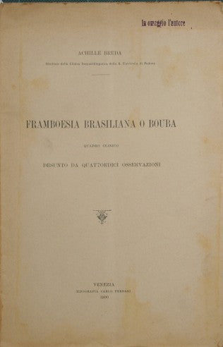 Framboesia brasiliana o bouba