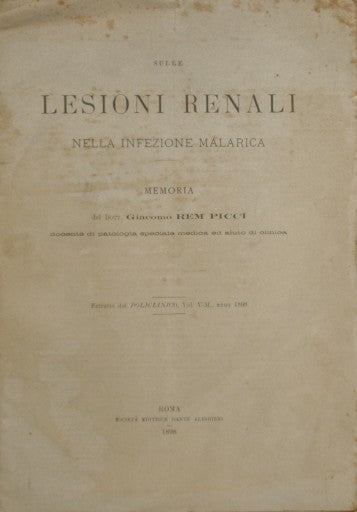 On renal lesions in malarial infection