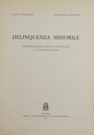 La delincuencia juvenil