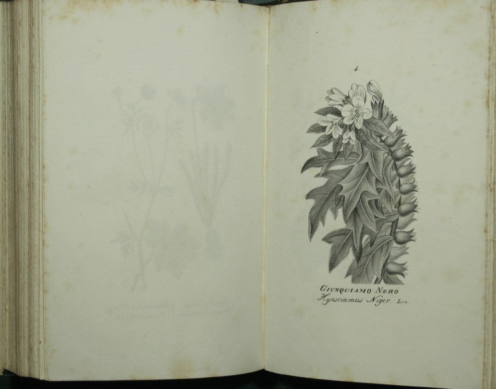 Lecciones de medicina forense del profesor Orfila