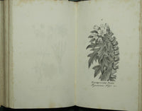 Lecciones de medicina forense del profesor Orfila