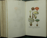 Lecciones de medicina forense del profesor Orfila