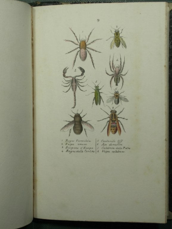 Lecciones de medicina forense del profesor Orfila