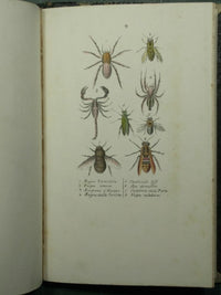 Lecciones de medicina forense del profesor Orfila