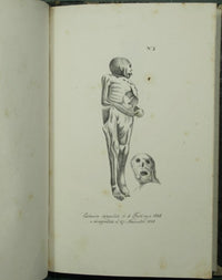 Lecciones de medicina forense del profesor Orfila