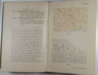 Atlante e manuale di Istologia patologica speciale