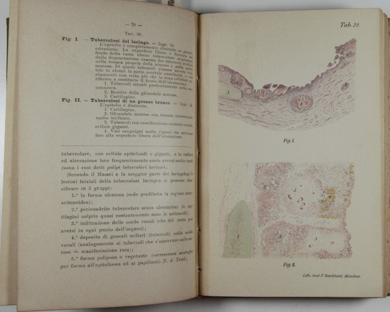 Atlante e manuale di Istologia patologica speciale