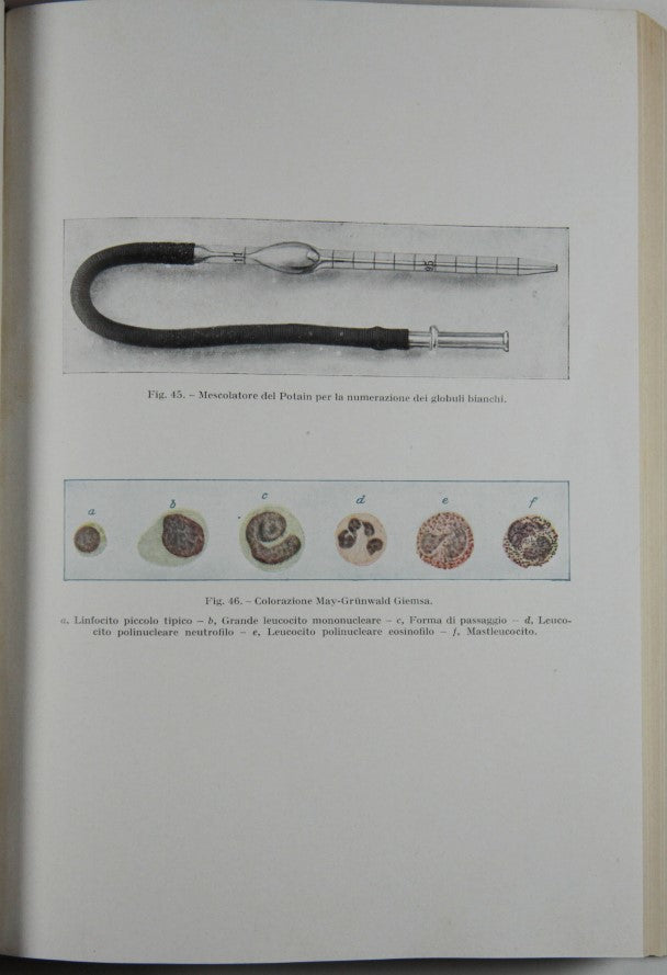 Fisiologia