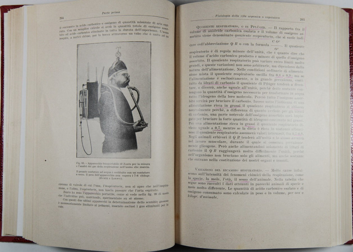 Fisiologia
