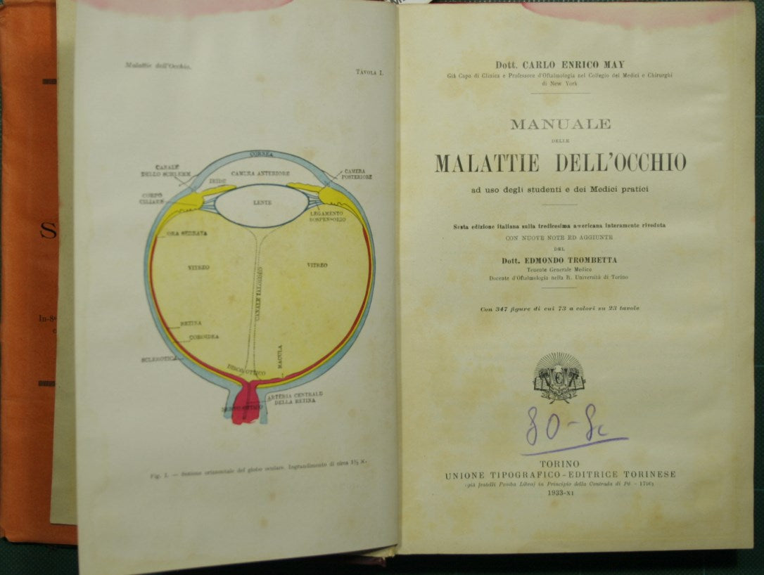 Manuale delle malattie dell'occhio