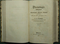 Physiological pyrethology or treatise on fevers