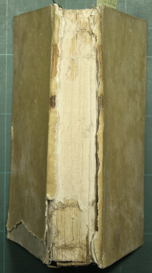 Institutionum medicinae practicae quas auditoribus suis praelegebat Io. Bapt. Burserius de Kanilfeld - Vol. IV