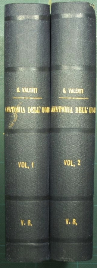 Compendio di anatomia dell'uomo