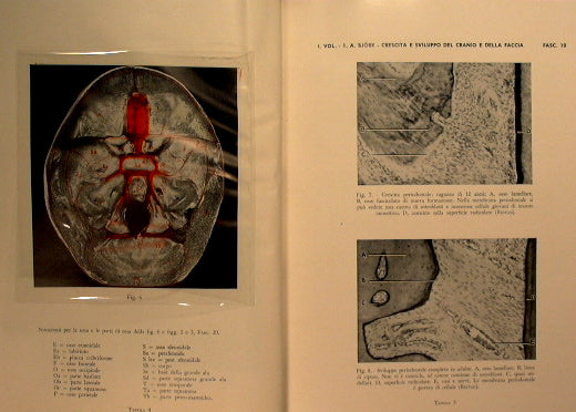 Treatise on odontostomatology and prosthetics