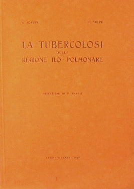 La tubercolosi della regione ilo-polmonare