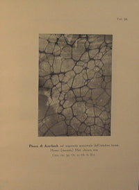 Atlante fotomicrografico di Istologia speciale.(Anatomia microscopica)