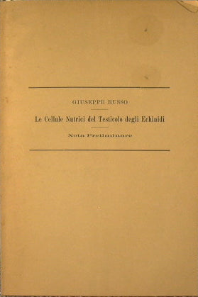 The Nurse Cells of the Testis of Echinids