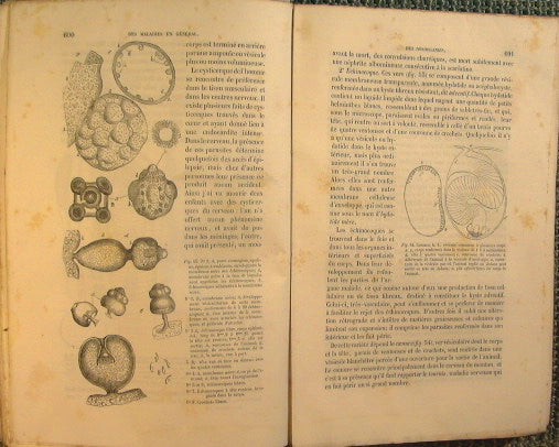 Nuevos elementos de patología general y semiología por E. Bouchut