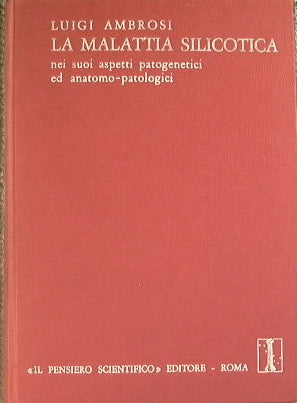 The silicotic disease in its pathogenic and anatomical-pathological aspects