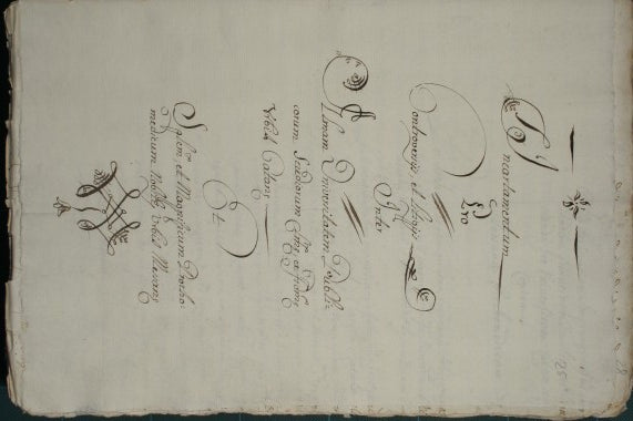 Incartamentum pro Controversiis et Litigiis inter Almam Universitatem Publicorum Studiorum Urbis Catane et Sp.lem et Magnificum Prothomedicum Nobiti Urbis Messane
