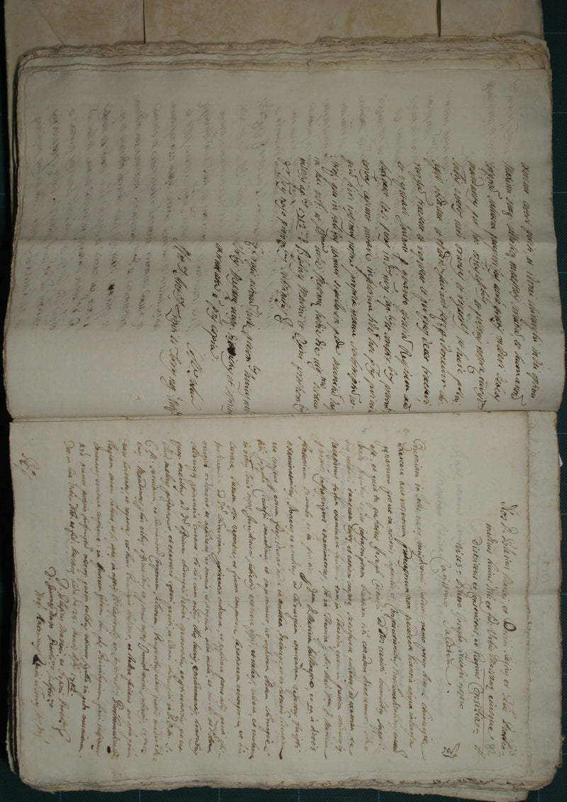Incartamentum pro Controversiis et Litigiis inter Almam Universitatem Publicorum Studiorum Urbis Catane et Sp.lem et Magnificum Prothomedicum Nobiti Urbis Messane