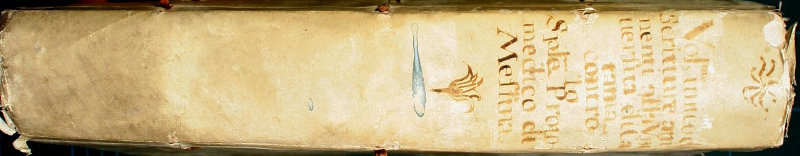 Incartamentum pro Controversiis et Litigiis inter Almam Universitatem Publicorum Studiorum Urbis Catane et Sp.lem et Magnificum Prothomedicum Nobiti Urbis Messane