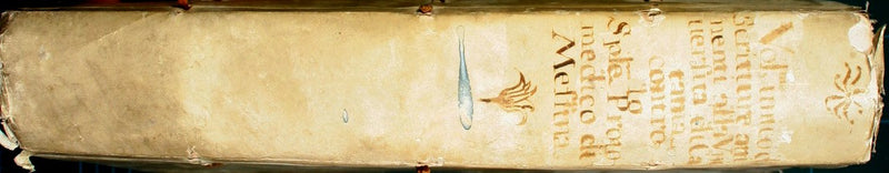 Incartamentum pro Controversiis et Litigiis inter Almam Universitatem Publicorum Studiorum Urbis Catane et Sp.lem et Magnificum Prothomedicum Nobiti Urbis Messane