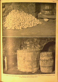 Conservazione delle patate