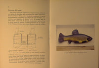 Tecniche di Preparazione Biologica