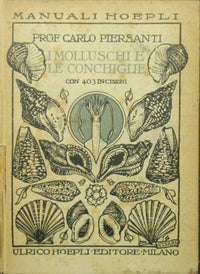 I molluschi e le conchiglie