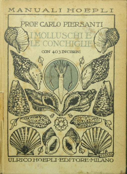 I molluschi e le conchiglie