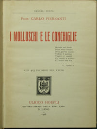 I molluschi e le conchiglie