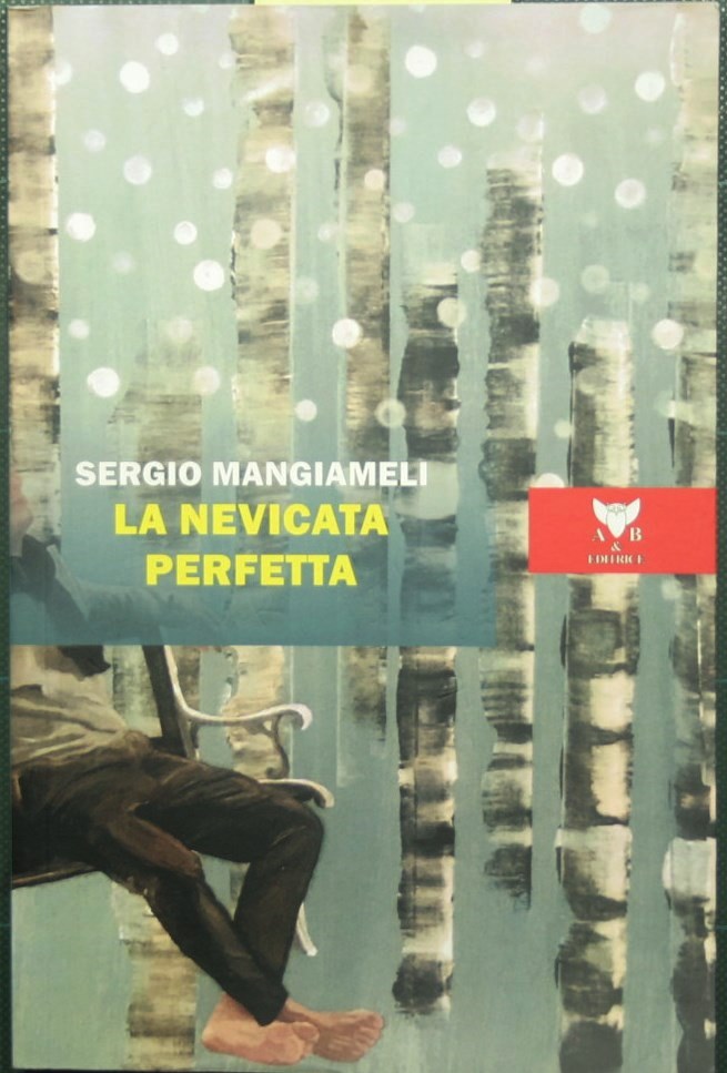 La nevicata perfetta