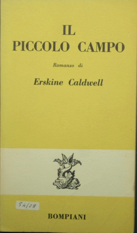 Il piccolo campo