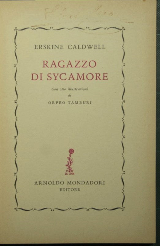 Sycamore boy
