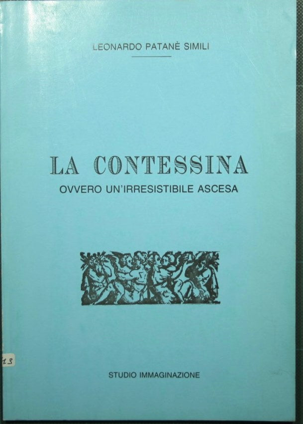 The little countess or an irresistible rise