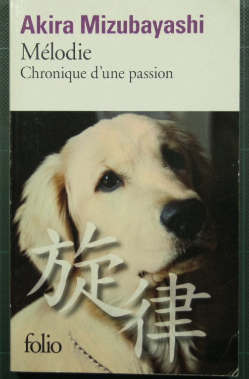 Melodies - Chronique d'une passion