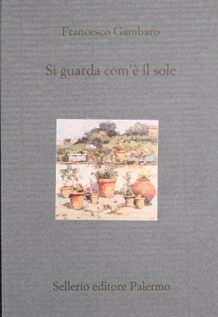 Si guarda com'è il sole