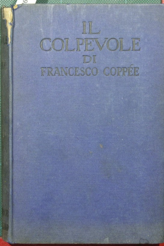 Il colpevole