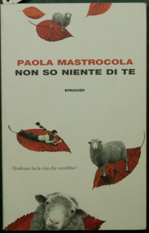 Non so niente di te
