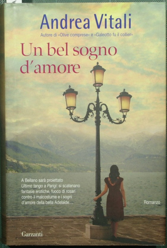 Un bel sogno d'amore