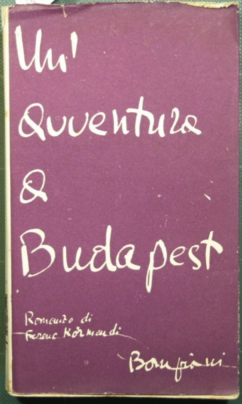 An adventure in Budapest