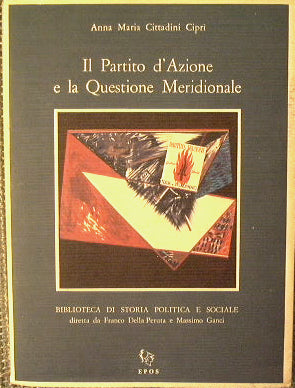 The Action Party and the southern question