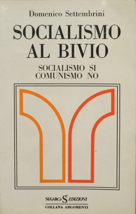 Socialism at the crossroads