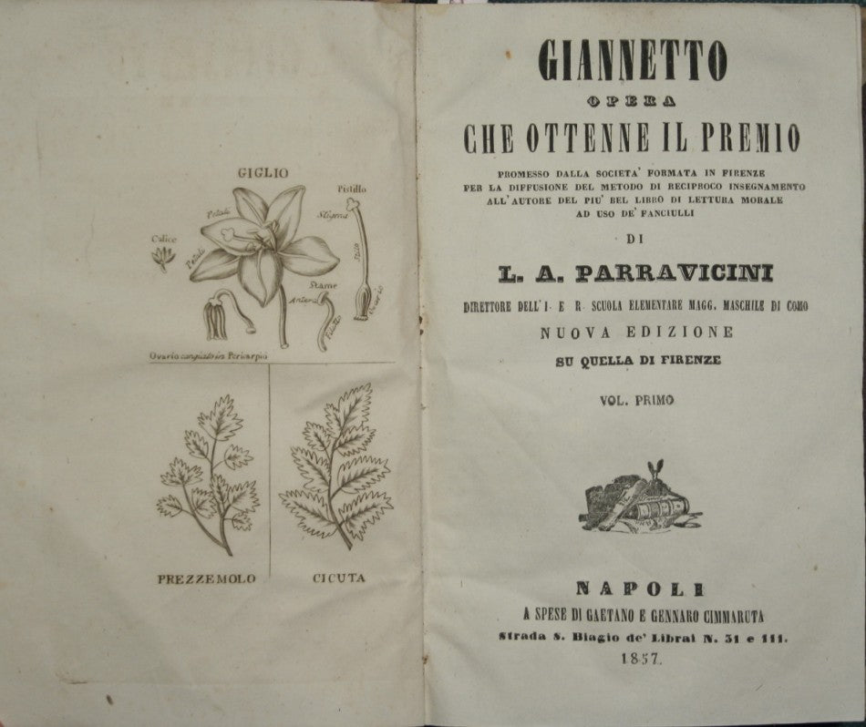 Giannetto