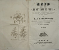 Giannetto