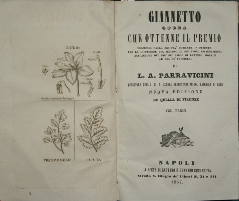 Giannetto