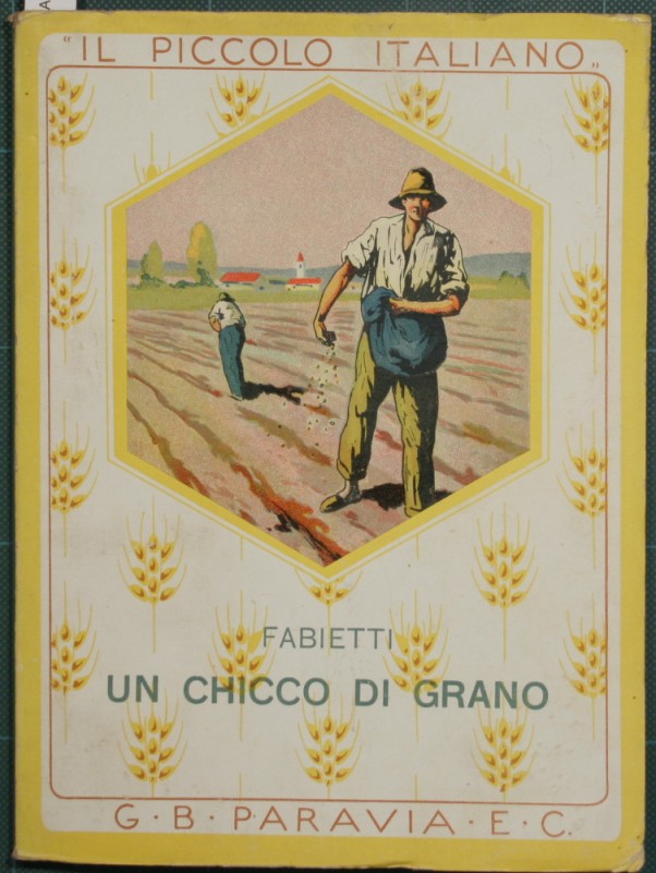 Un chicco di grano