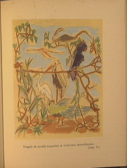 Il secondo libro della jungla
