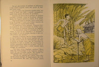 Alì, Luca e la gazzella